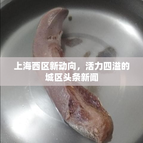 上海西区新动向，活力四溢的城区头条新闻