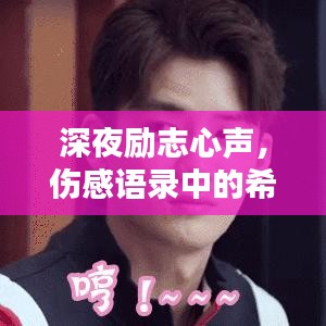 深夜励志心声，伤感语录中的希望短句
