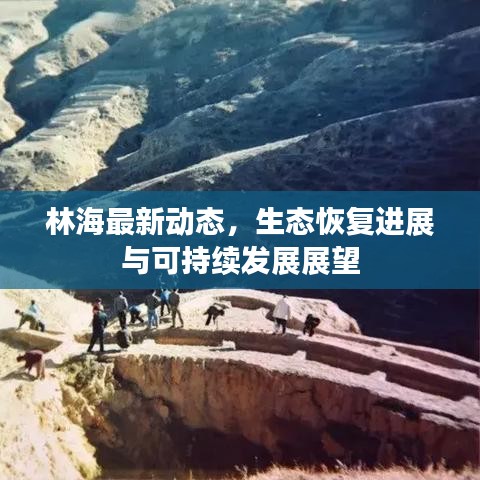 林海最新动态，生态恢复进展与可持续发展展望