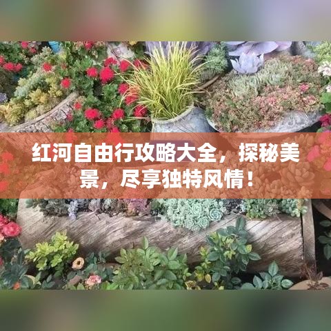 红河自由行攻略大全，探秘美景，尽享独特风情！