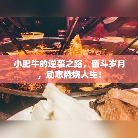 小肥牛的逆袭之路，奋斗岁月，励志燃烧人生！