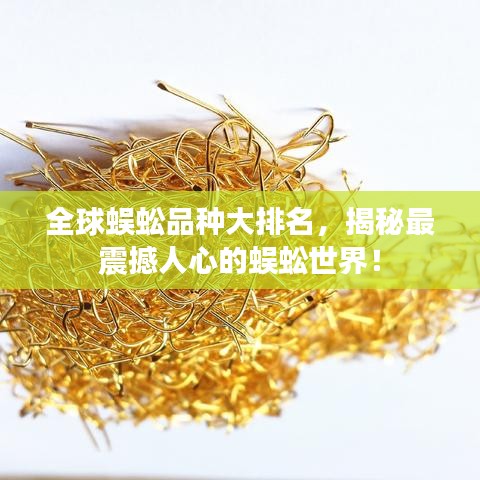 忠心耿耿