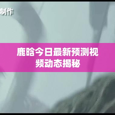 鹿晗今日最新预测视频动态揭秘