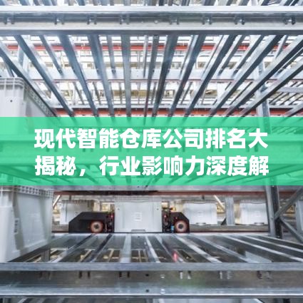 现代智能仓库公司排名大揭秘，行业影响力深度解析！