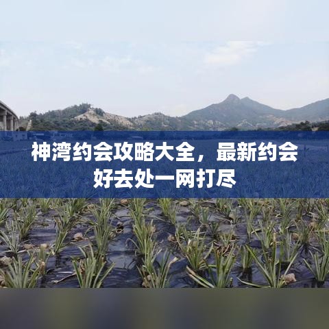 神湾约会攻略大全，最新约会好去处一网打尽