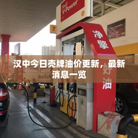 汉中今日壳牌油价更新，最新消息一览