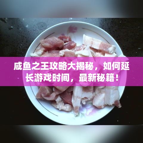 咸鱼之王攻略大揭秘，如何延长游戏时间，最新秘籍！