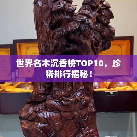 世界名木沉香榜TOP10，珍稀排行揭秘！
