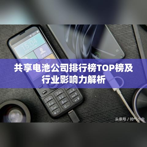 公司简介 第10页