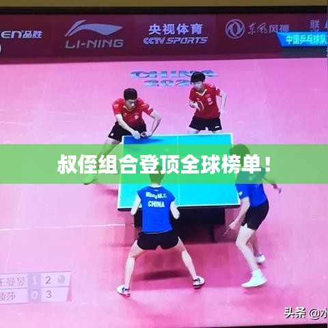叔侄组合登顶全球榜单！