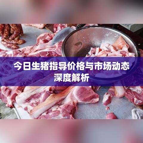 公司简介 第9页