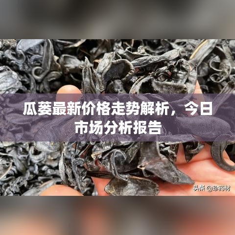 技术支持 第9页