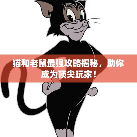 2025年4月 第4页