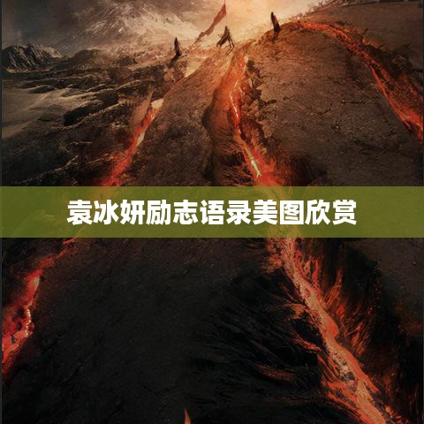 合作伙伴 第6页
