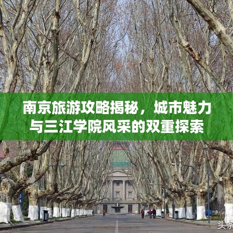 南京旅游攻略揭秘，城市魅力与三江学院风采的双重探索
