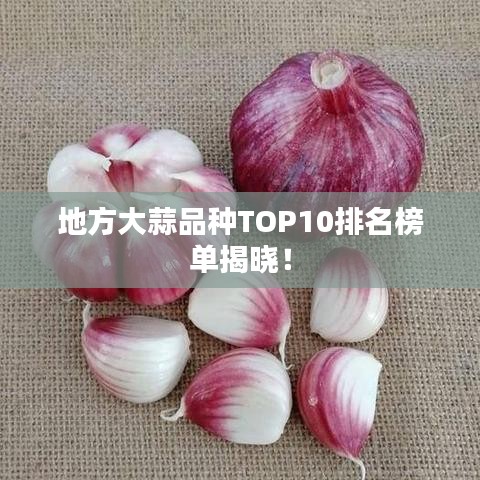 地方大蒜品种TOP10排名榜单揭晓！