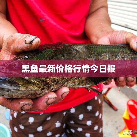 客户案例 第4页
