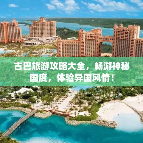 合作伙伴 第4页