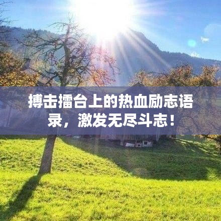 2025年5月6日 第4页