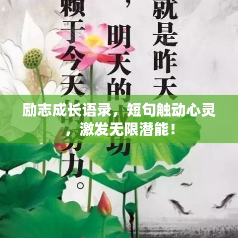 客户案例 第3页