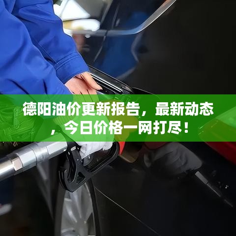 德阳油价更新报告，最新动态，今日价格一网打尽！