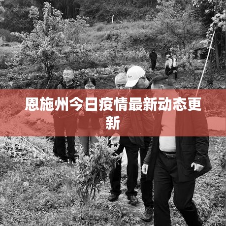 恩施州今日疫情最新动态更新