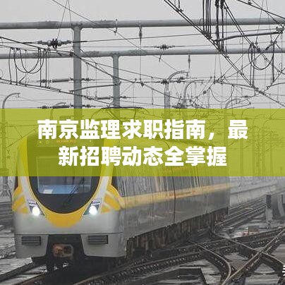 南京监理求职指南，最新招聘动态全掌握