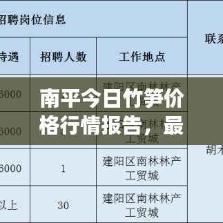 南平今日竹笋价格行情报告，最新市场动态，一网打尽！