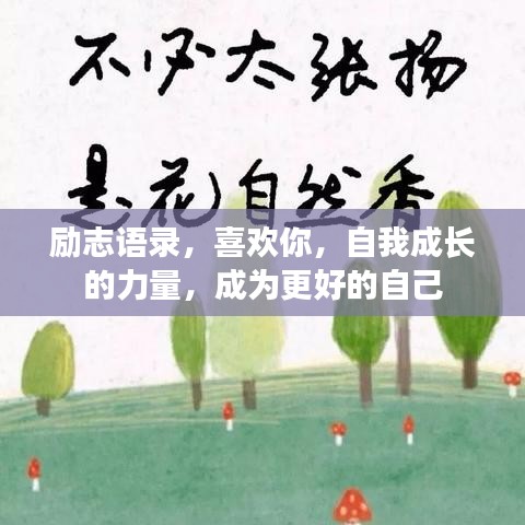 2025年5月11日