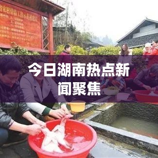 今日湖南热点新闻聚焦