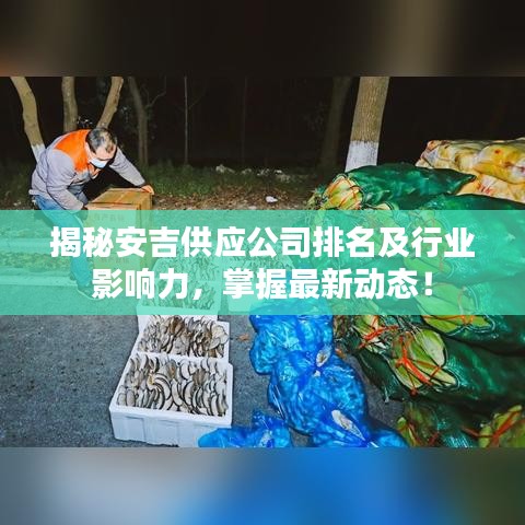 揭秘安吉供应公司排名及行业影响力，掌握最新动态！