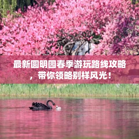 最新圆明园春季游玩路线攻略，带你领略别样风光！