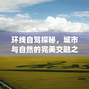 环线自驾探秘，城市与自然的完美交融之旅