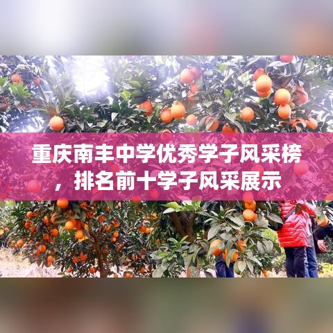重庆南丰中学优秀学子风采榜，排名前十学子风采展示