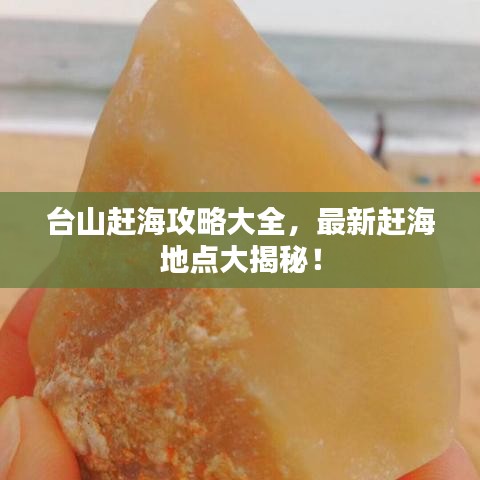 台山赶海攻略大全，最新赶海地点大揭秘！