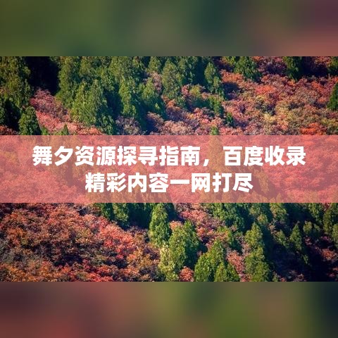 舞夕资源探寻指南，百度收录精彩内容一网打尽