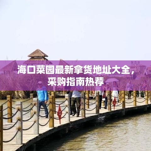 海口菜园最新拿货地址大全，采购指南热荐