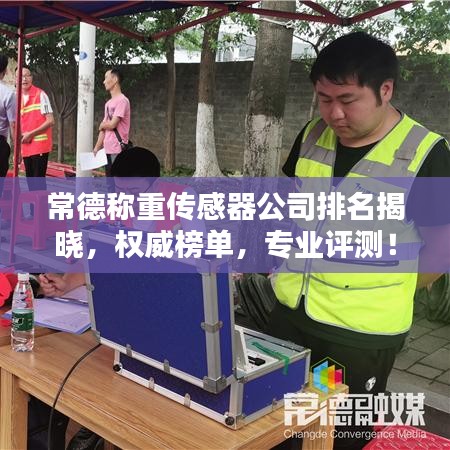 常德称重传感器公司排名揭晓，权威榜单，专业评测！