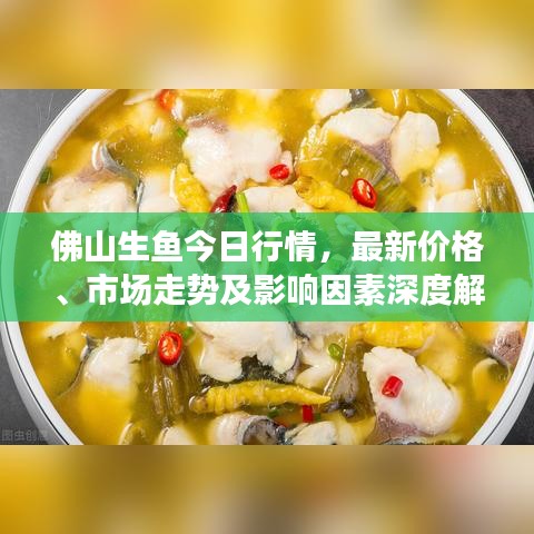 佛山生鱼今日行情，最新价格、市场走势及影响因素深度解析