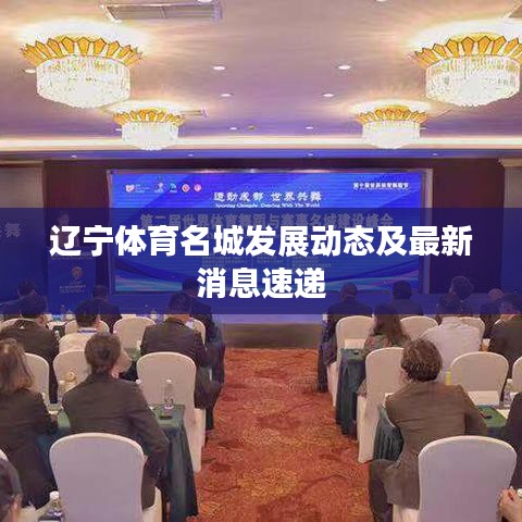 辽宁体育名城发展动态及最新消息速递