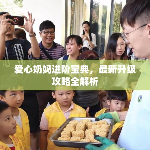 爱心奶妈进阶宝典，最新升级攻略全解析