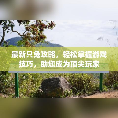 最新只兔攻略，轻松掌握游戏技巧，助您成为顶尖玩家