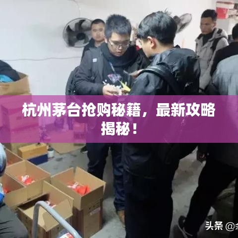 杭州茅台抢购秘籍，最新攻略揭秘！