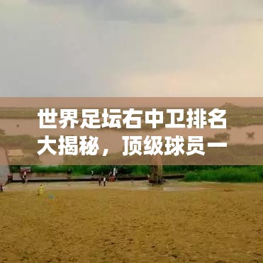 世界足坛右中卫排名大揭秘，顶级球员一览无余！