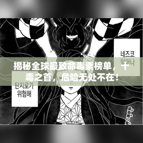 2025年5月28日 第2页
