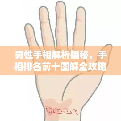 男性手相解析揭秘，手相排名前十图解全攻略