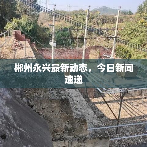 郴州永兴最新动态，今日新闻速递
