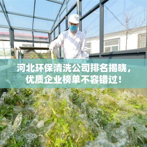 河北环保清洗公司排名揭晓，优质企业榜单不容错过！