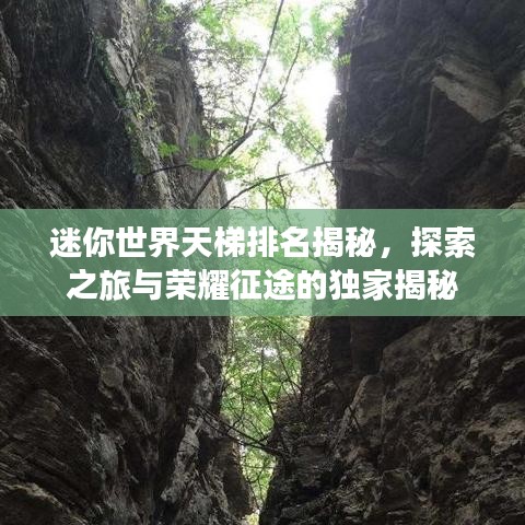 迷你世界天梯排名揭秘，探索之旅与荣耀征途的独家揭秘