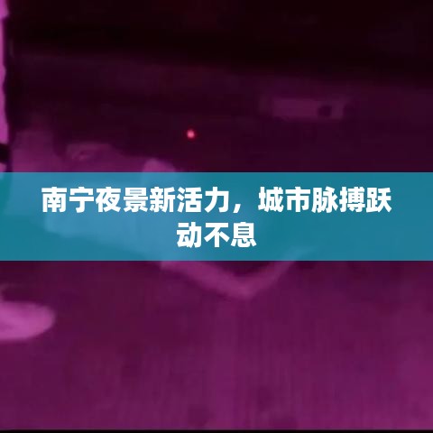 南宁夜景新活力，城市脉搏跃动不息